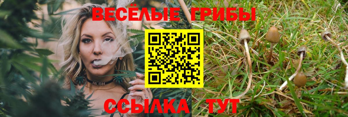 где купить наркоту  Вход с VPN  Кушва  Псилоцибиновые грибы прущие грибы 